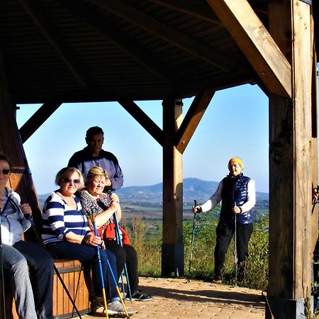 Hegyaljai Panoráma Vendégház Szerencs Extérieur photo