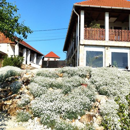 Hegyaljai Panoráma Vendégház Szerencs Extérieur photo