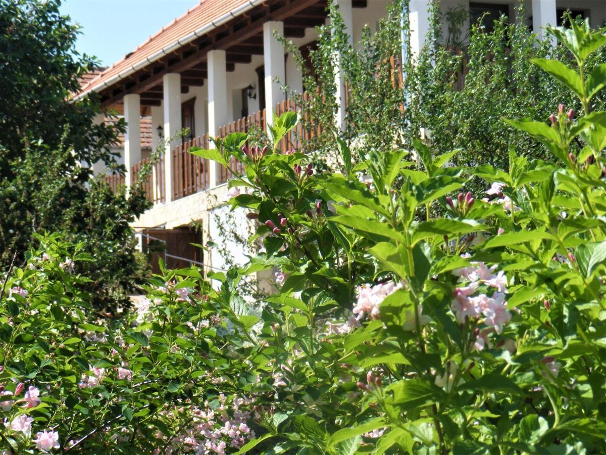 Hegyaljai Panoráma Vendégház Szerencs Extérieur photo