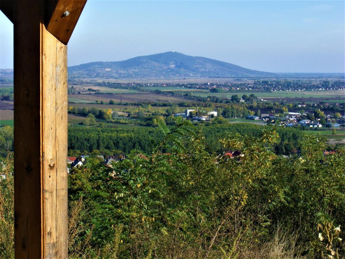 Hegyaljai Panoráma Vendégház Szerencs Extérieur photo