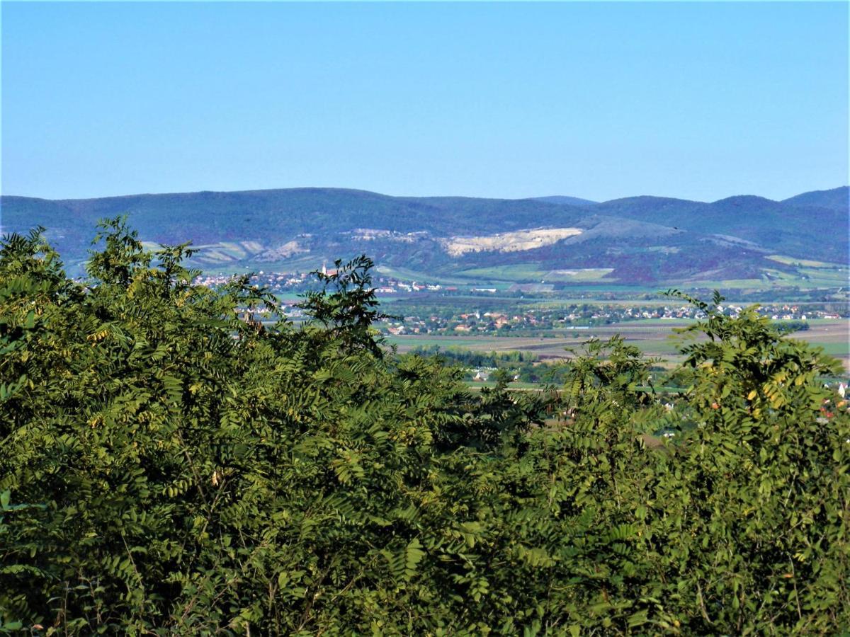 Hegyaljai Panoráma Vendégház Szerencs Extérieur photo