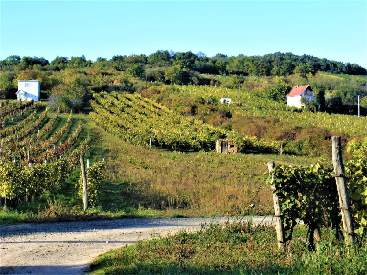 Hegyaljai Panoráma Vendégház Szerencs Extérieur photo
