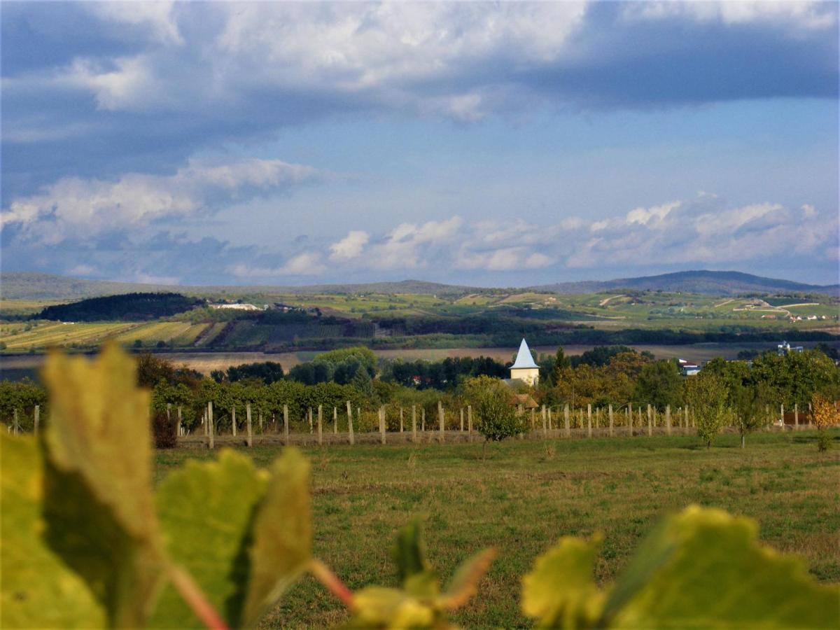 Hegyaljai Panoráma Vendégház Szerencs Extérieur photo
